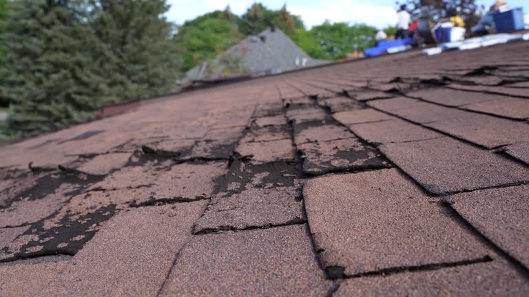 Best Hot Roofs  in Idaho Springs, CO
